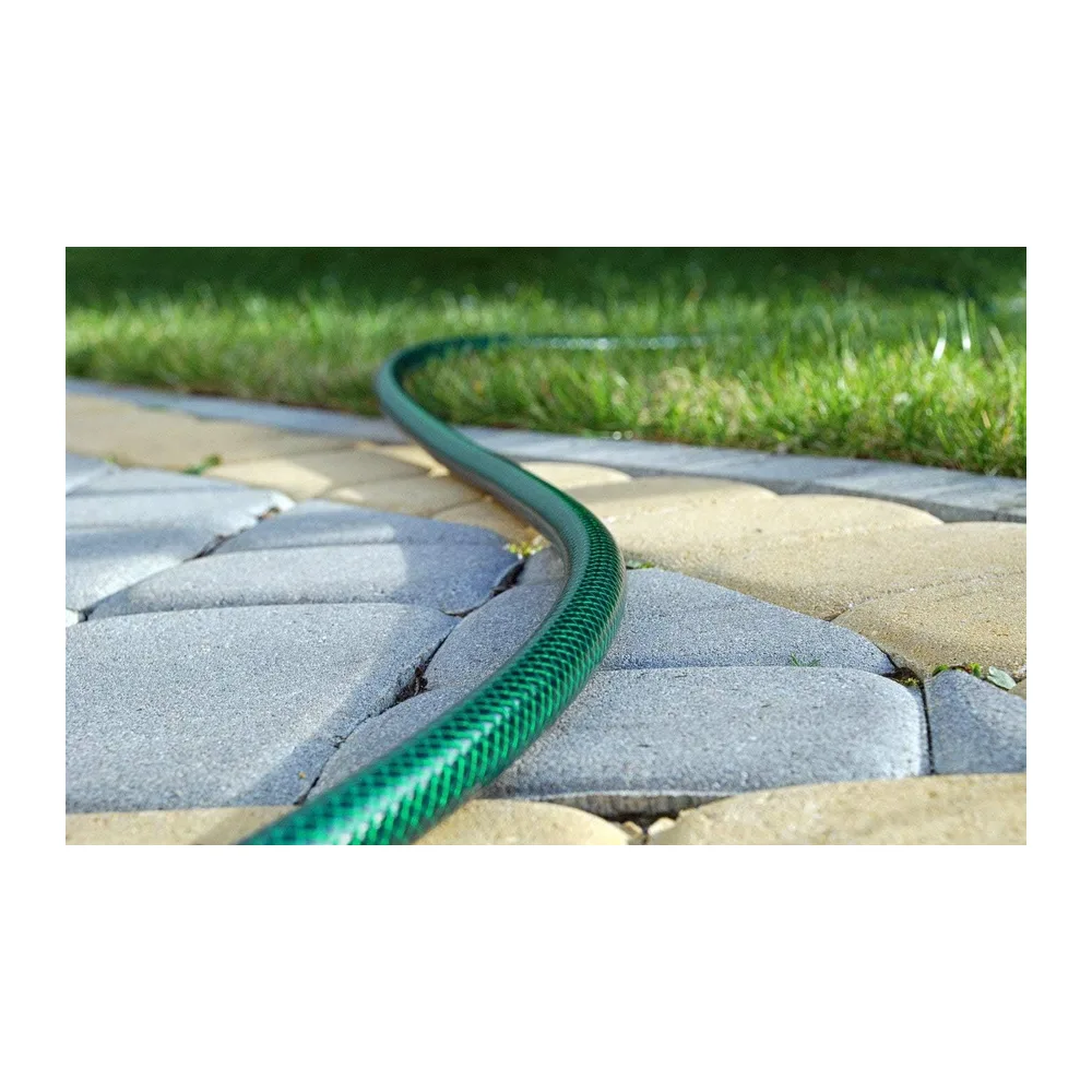 Cellfast Economic Tuyau d'arrosage, Vert 1/2" 20 m