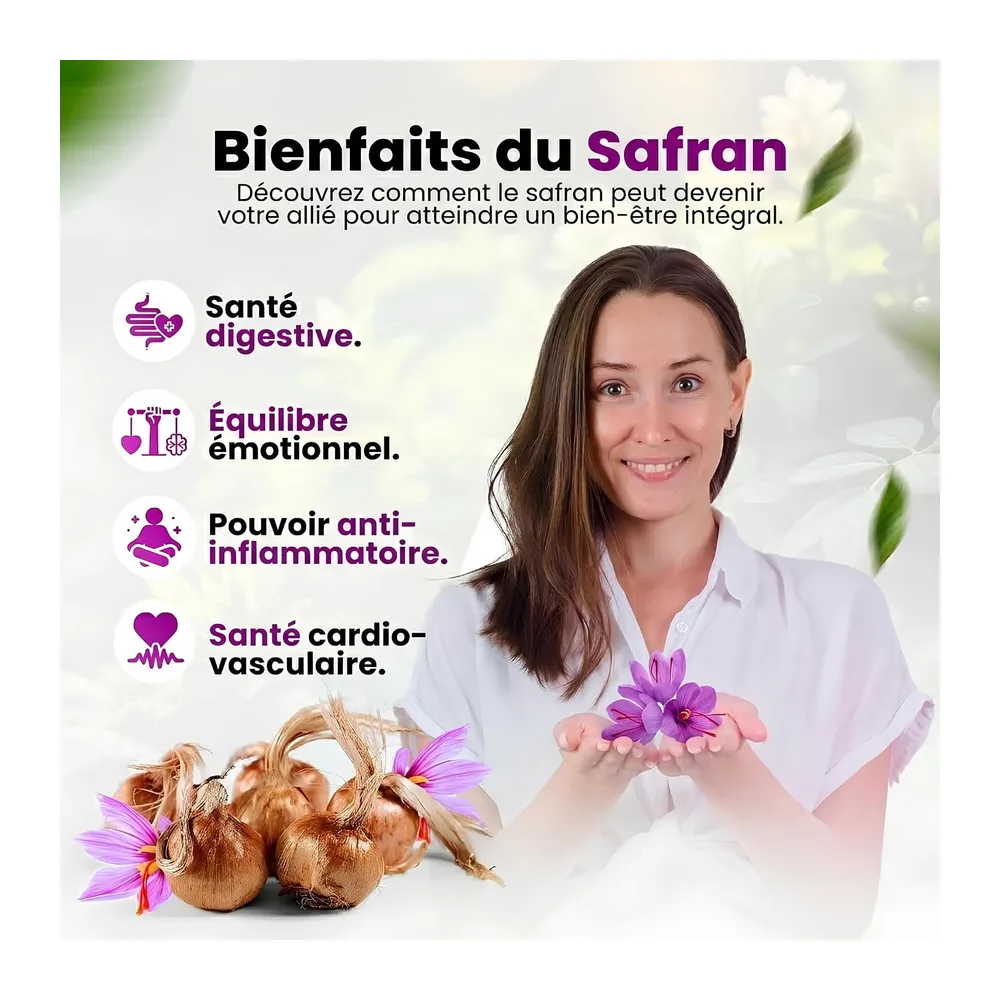 Bulbes de Safran pour Planter votre Propre Safran 500g, Bulbes de Fleurs d'Extérieur pour