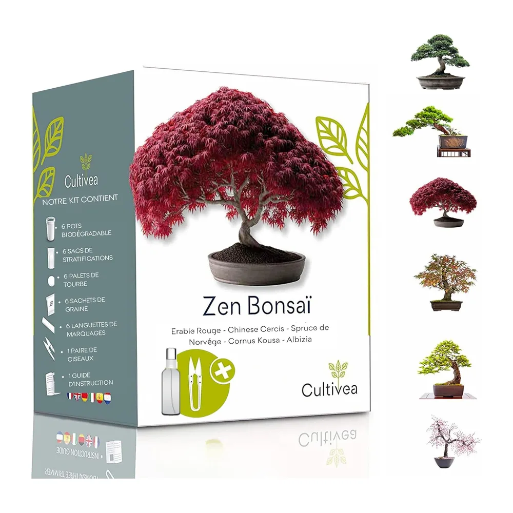 CULTIVEA® Mini Kit Prêt à Pousser 6 Bonsaï - Jardinez et décorez - Idée Cadeau (Red
