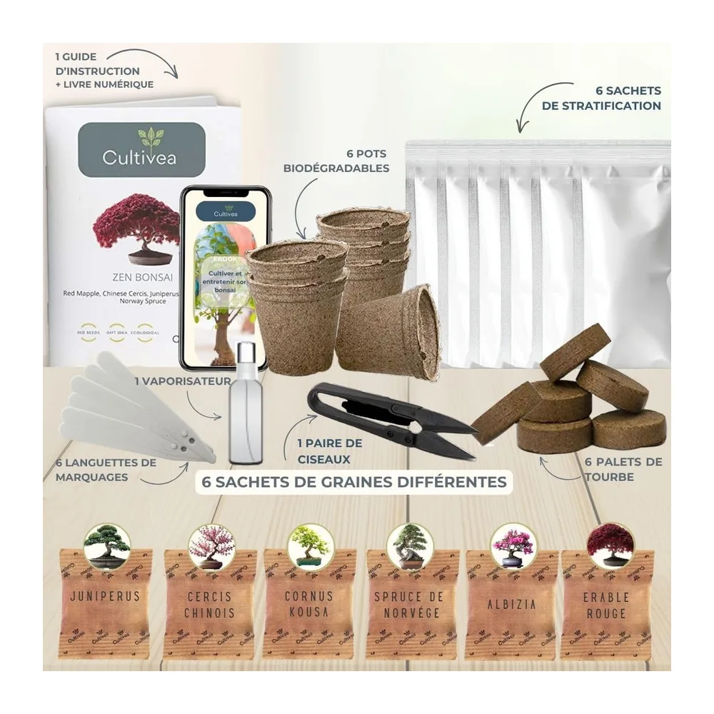 CULTIVEA® Mini Kit Prêt à Pousser 6 Bonsaï - Jardinez et décorez - Idée Cadeau (Red