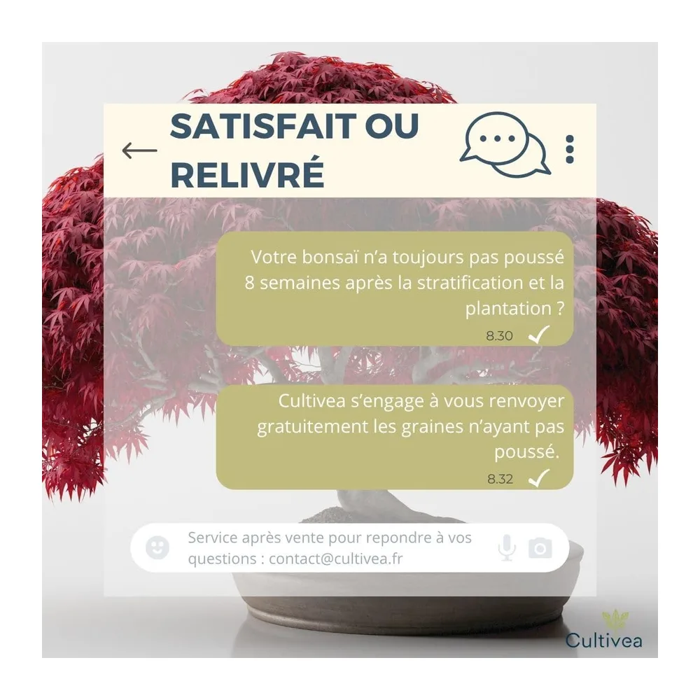 CULTIVEA® Mini Kit Prêt à Pousser 6 Bonsaï - Jardinez et décorez - Idée Cadeau (Red