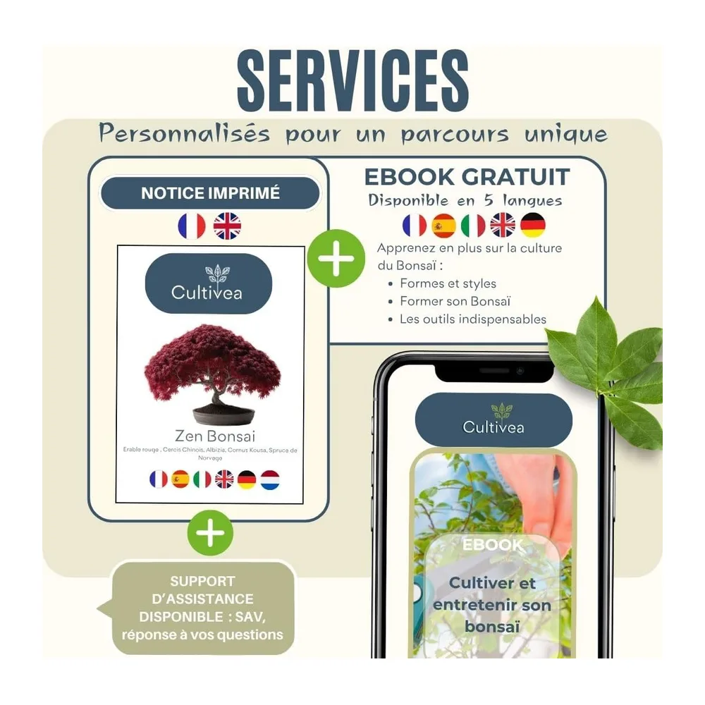 CULTIVEA® Mini Kit Prêt à Pousser 6 Bonsaï - Jardinez et décorez - Idée Cadeau (Red