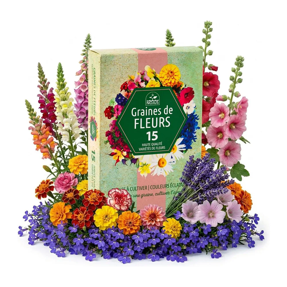 Collection de graines de fleurs inspirées de la RHS - 15 variétés de fleurs de jardin