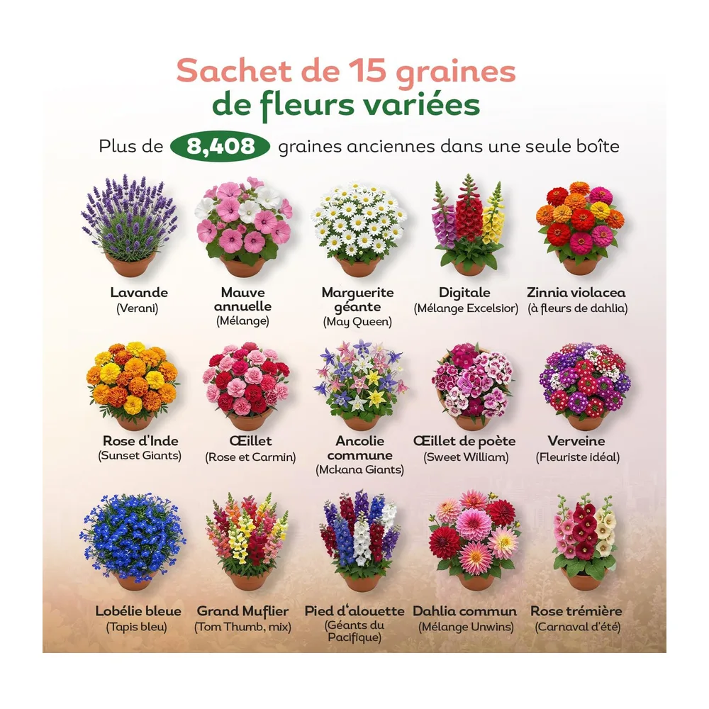 Collection de graines de fleurs inspirées de la RHS - 15 variétés de fleurs de jardin