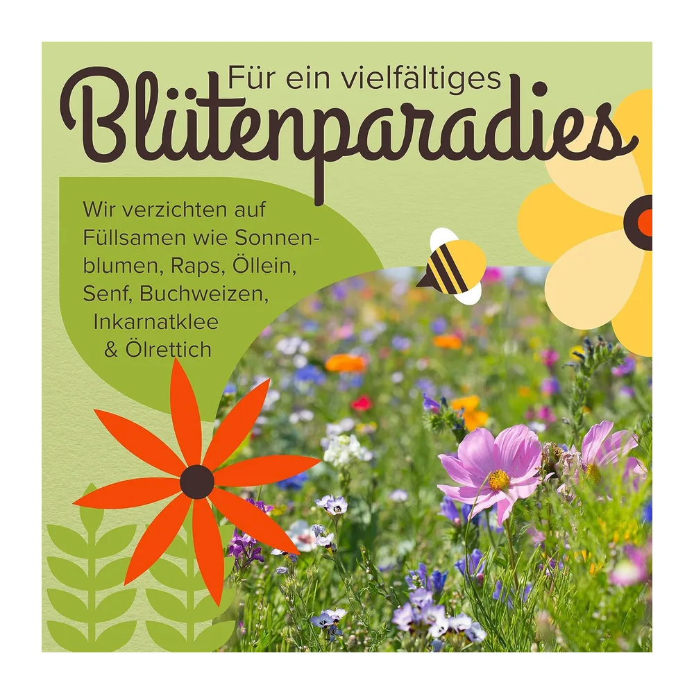 Graines de fleurs sauvages haut de gamme pour une prairie fleurie colorée - Mélange de