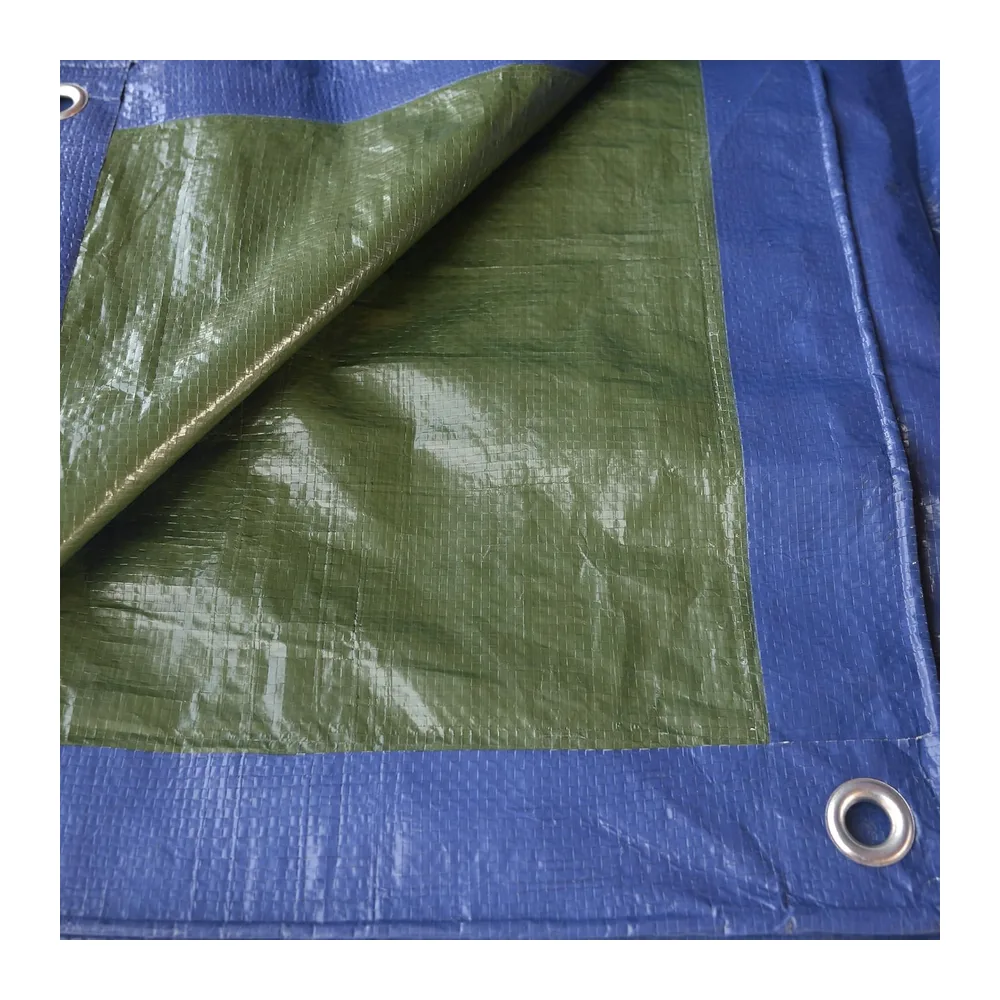 TENAX Cover All Bâche à Oeillets Vert-Bleu 4,00x6 m 90 g/m², Bâche de Protection pour