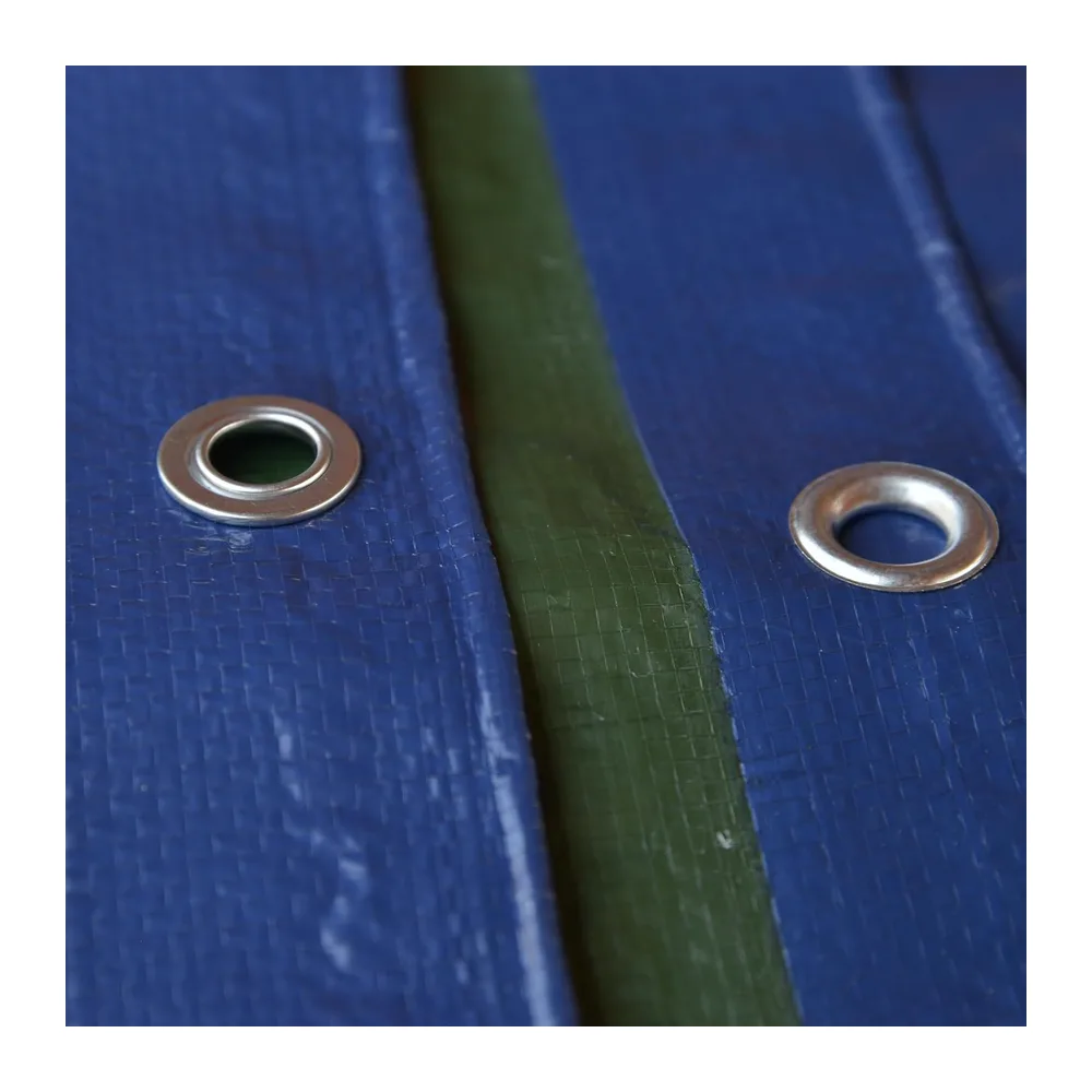 TENAX Cover All Bâche à Oeillets Vert-Bleu 4,00x6 m 90 g/m², Bâche de Protection pour