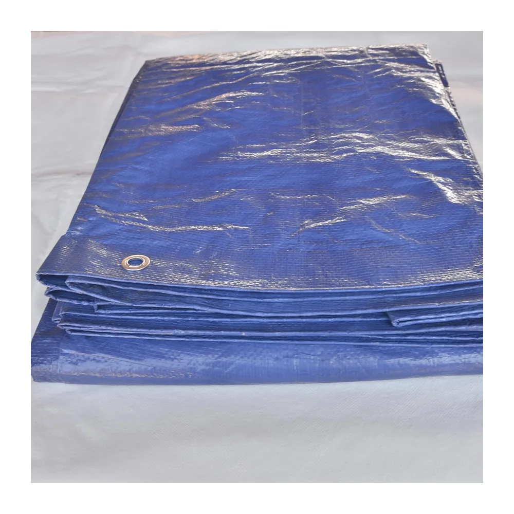 TENAX Cover All Bâche à Oeillets Vert-Bleu 4,00x6 m 90 g/m², Bâche de Protection pour