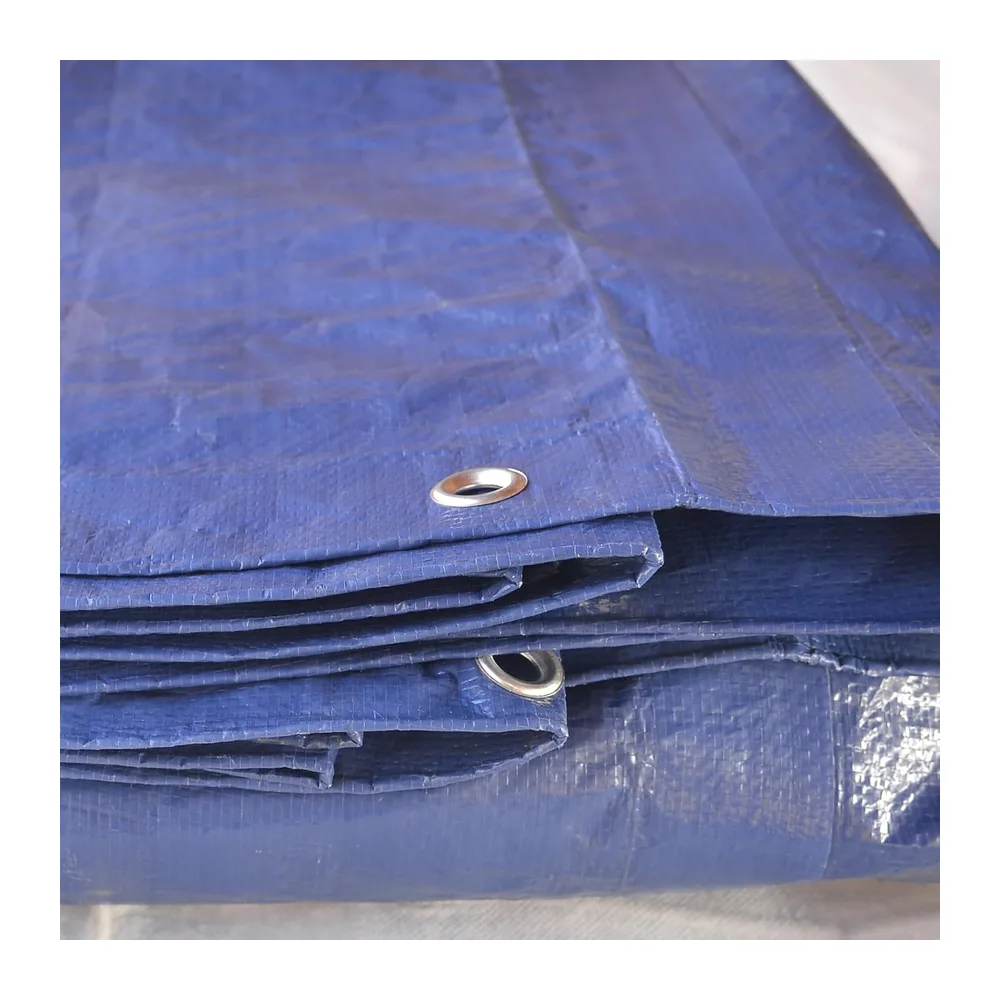 TENAX Cover All Bâche à Oeillets Vert-Bleu 4,00x6 m 90 g/m², Bâche de Protection pour