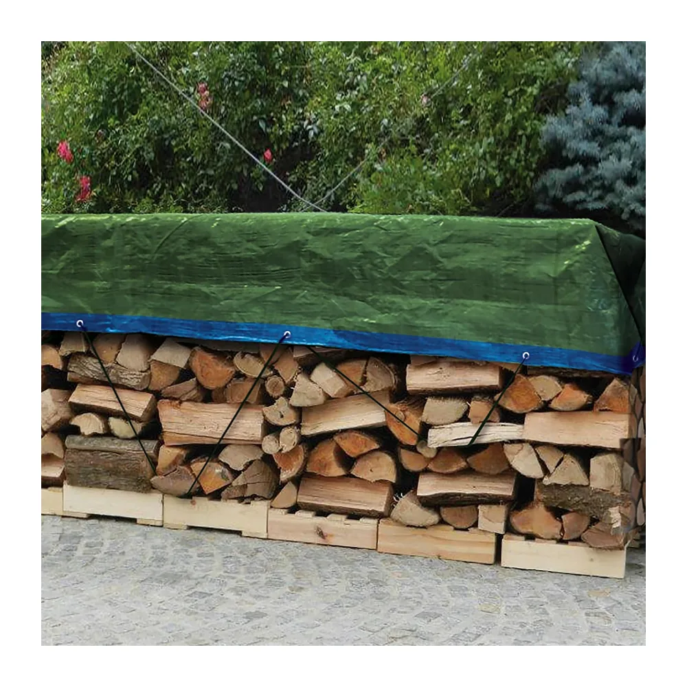 TENAX Cover All Bâche à Oeillets Vert-Bleu 4,00x6 m 90 g/m², Bâche de Protection pour