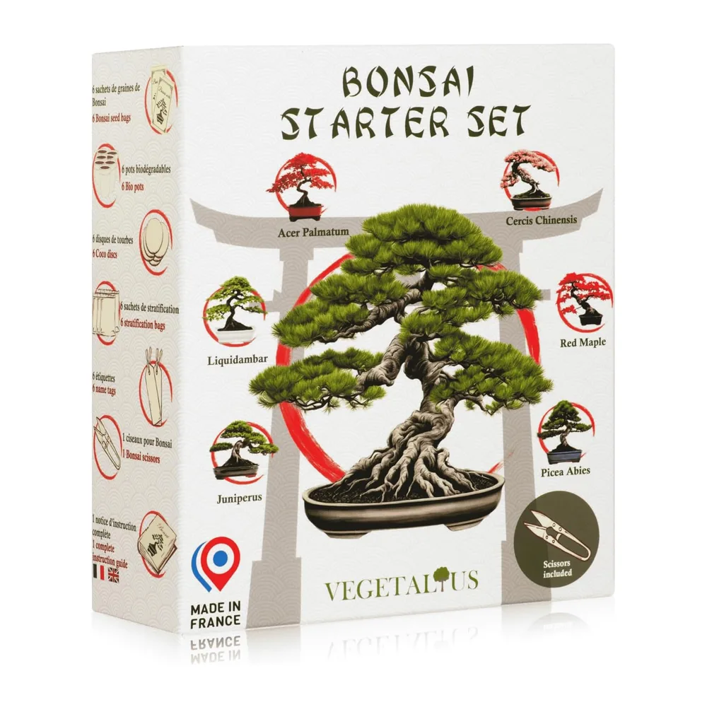Kit complet de 6 Bonsai avec graines & accessoires - Fabriqué en France - Idée coffret