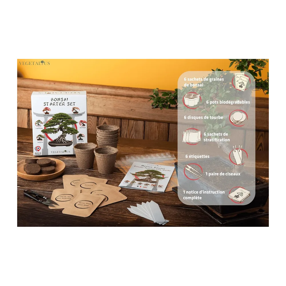 Kit complet de 6 Bonsai avec graines & accessoires - Fabriqué en France - Idée coffret
