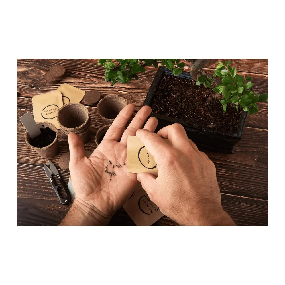 Kit complet de 6 Bonsai avec graines & accessoires - Fabriqué en France - Idée coffret