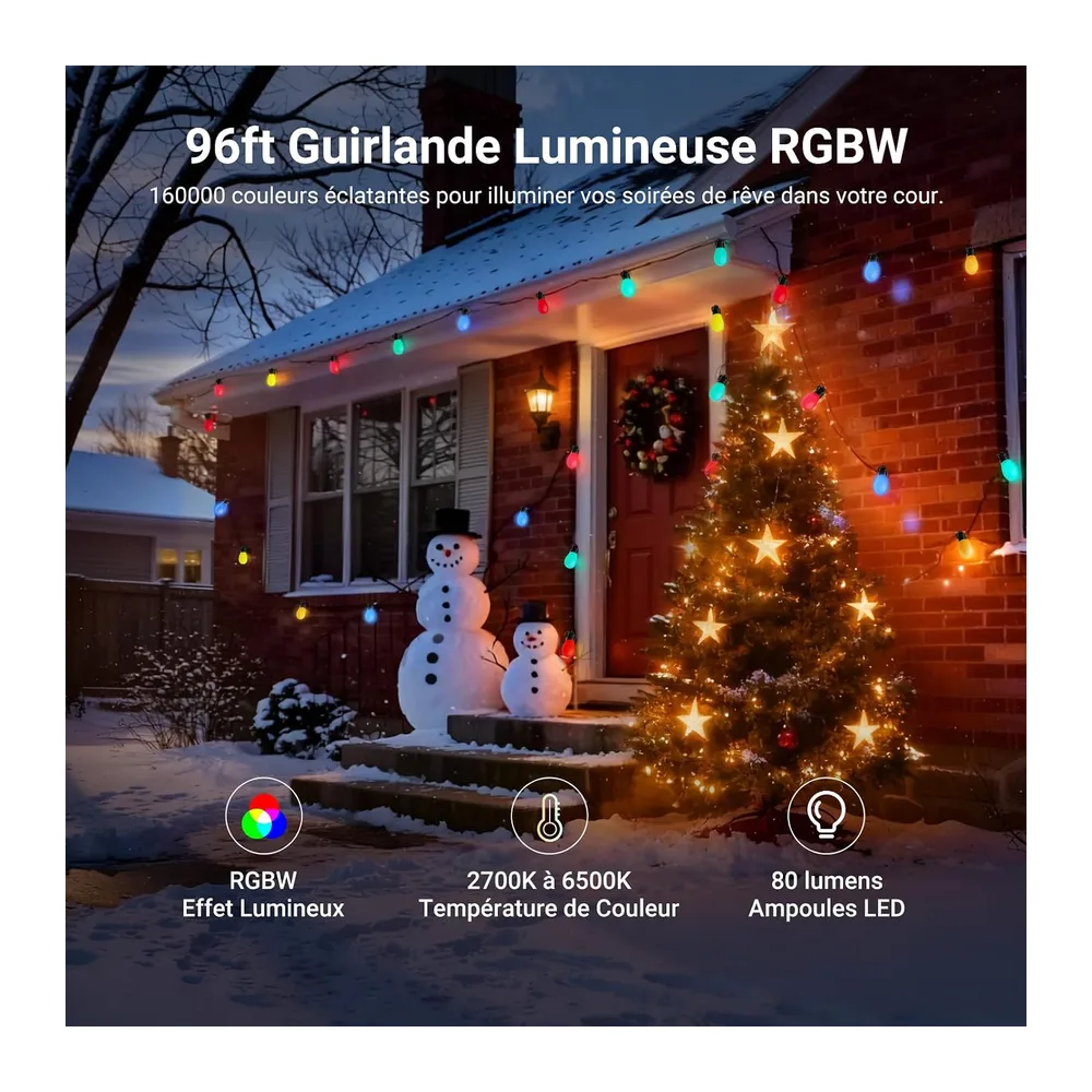 NEEWER NR01 Guirlande Extérieure 96ft,Smart AI RGBW avec App