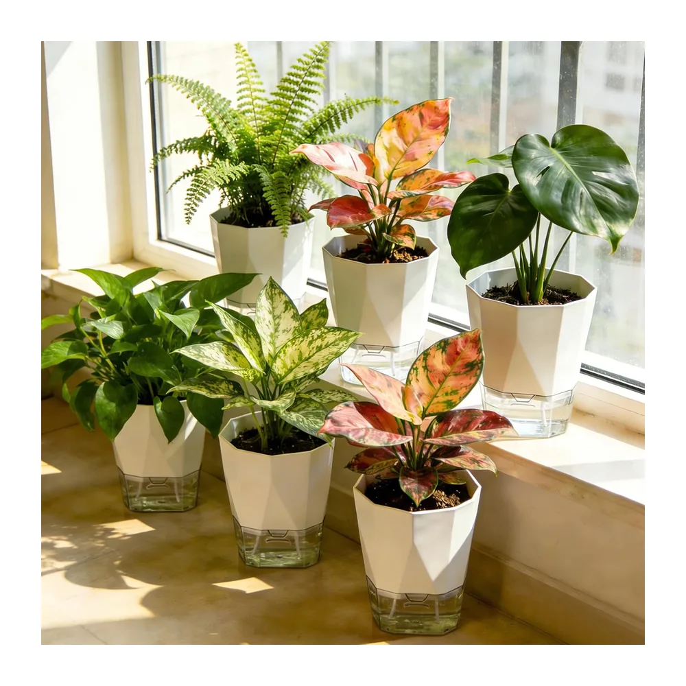 Lot de 6 pots à arrosage automatique, pot de fleurs pour intérieur & balcon