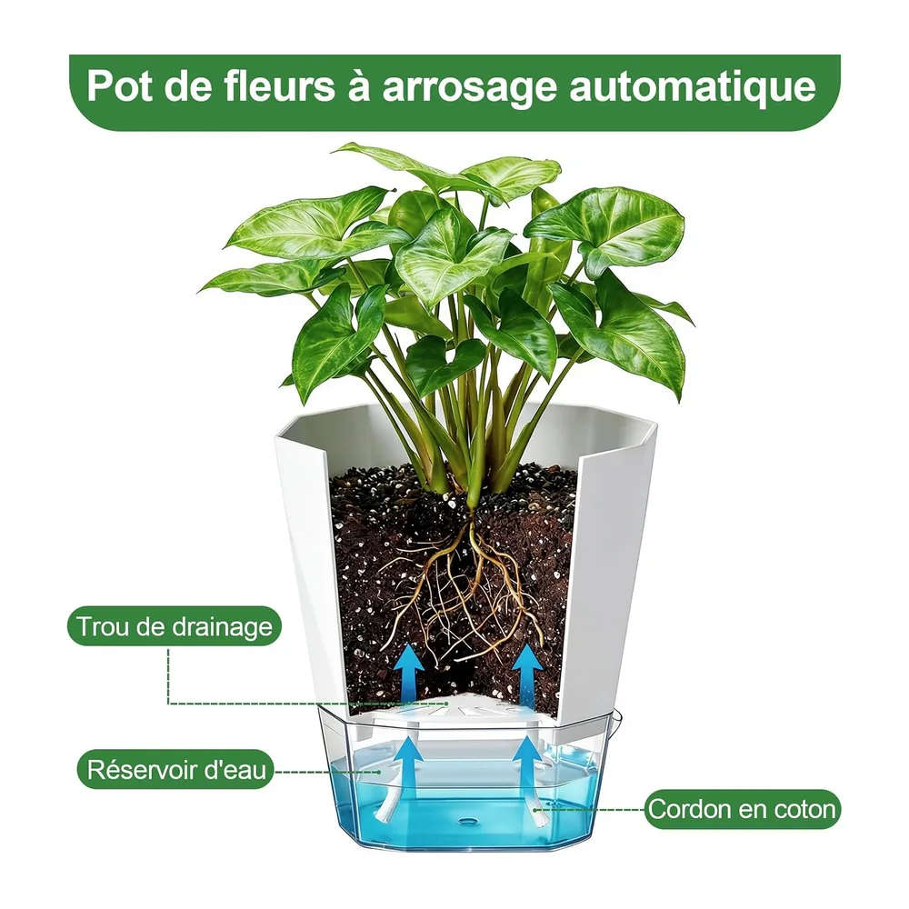 Lot de 6 pots à arrosage automatique, pot de fleurs pour intérieur & balcon