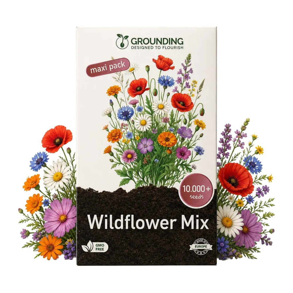 Grounding Maxi Wild Flower Mix Multicoloured, 10000+ Seeds – Natural Meadow Effect