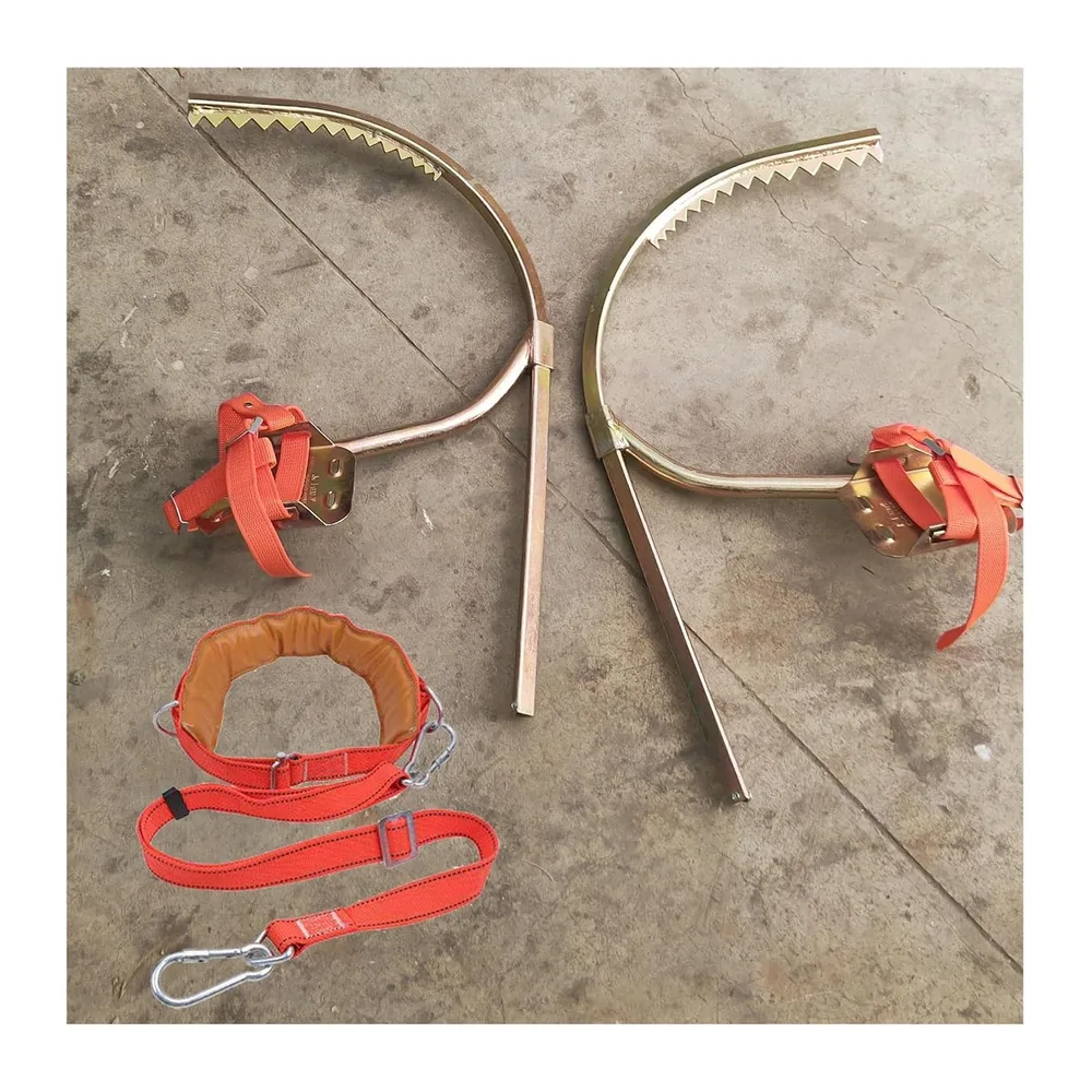 Pruning Sécateur