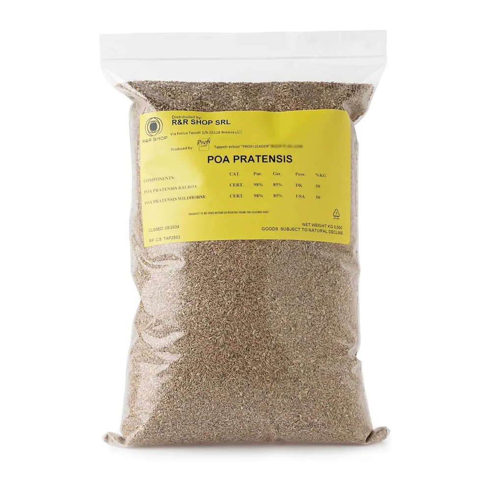 R&R SHOP - Semences pour Gazon, Poa Pratensis, Auto-régénérantes et Résistantes (1.5Kg