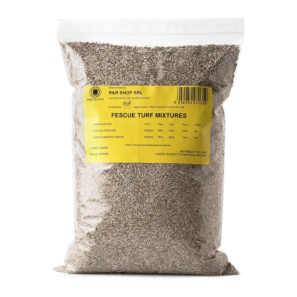R&R SHOP - Semences pour Pelouse, Festuca Arundinacea, Résistantes et Longue Durée (1.5Kg