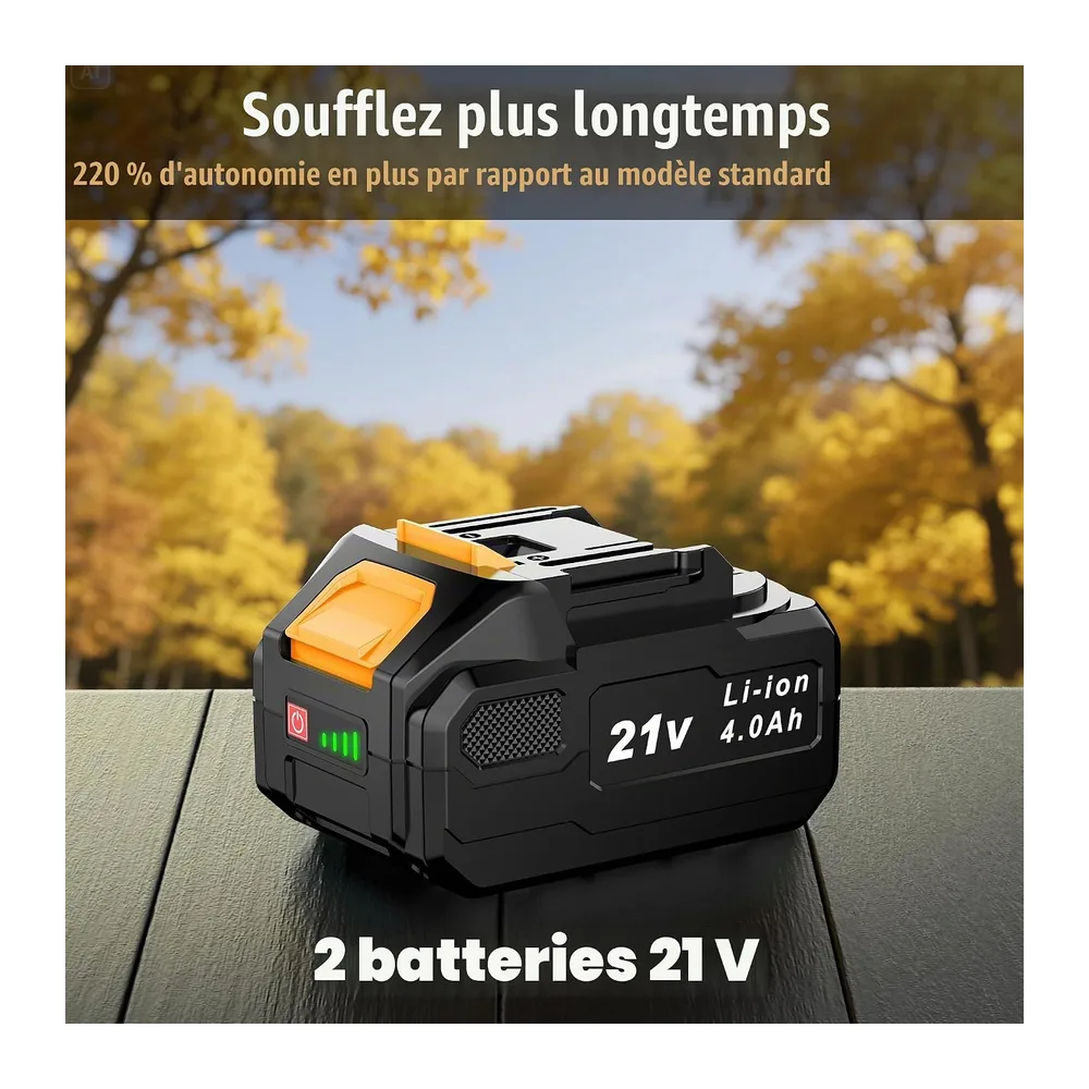 Souffleur de Feuilles sans Fil 21V, 2 Batteries 4,0Ah Incluses, 3 Vitesses Réglables, 2