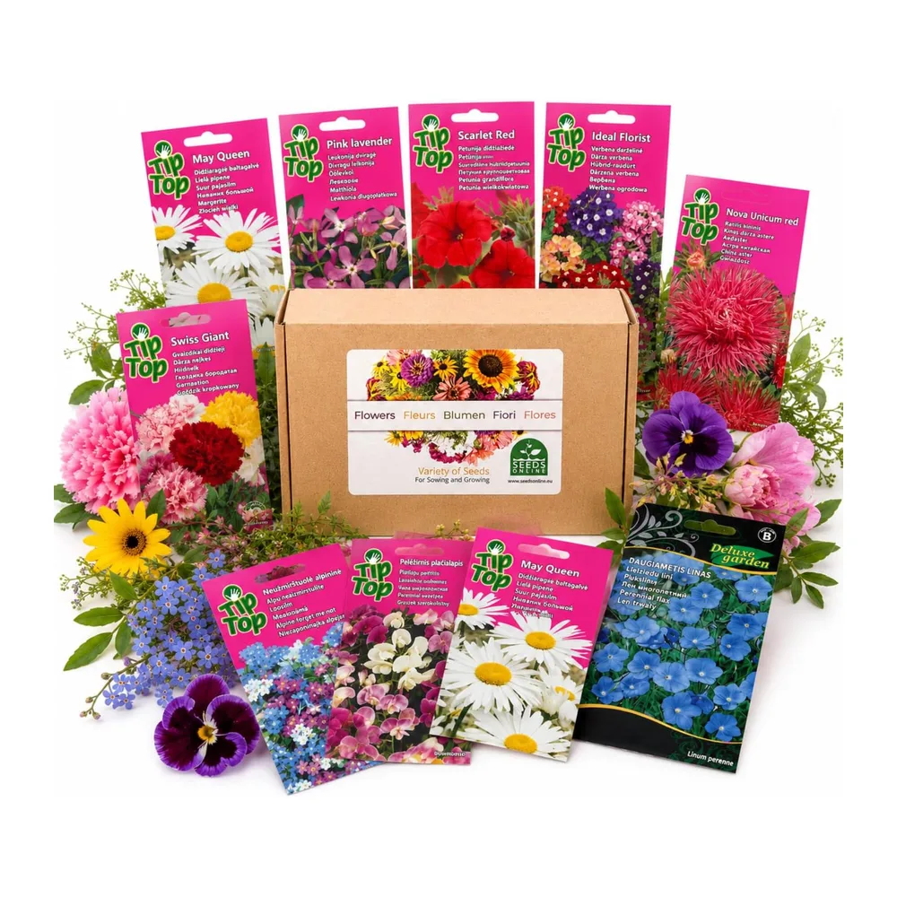Nojus - Collection de graines de fleurs et de prairie fleurie – 30 sachets de graines de