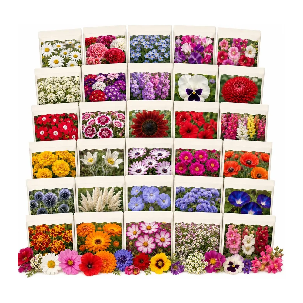 Nojus - Collection de graines de fleurs et de prairie fleurie – 30 sachets de graines de